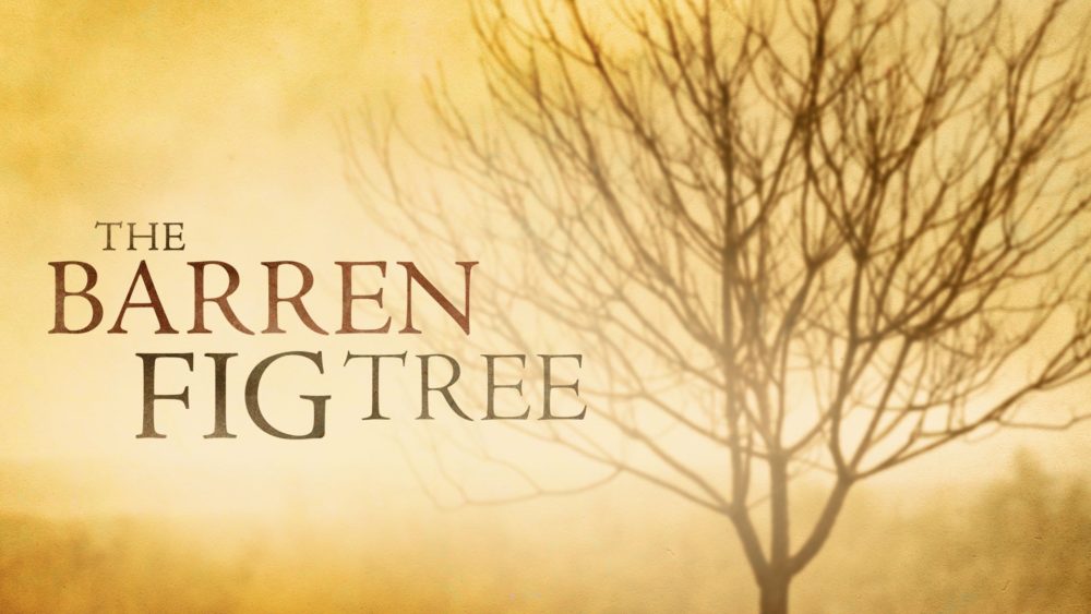 The Barren Fig Tree