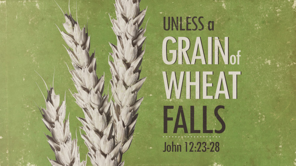 Unless a Grain of Wheat Falls